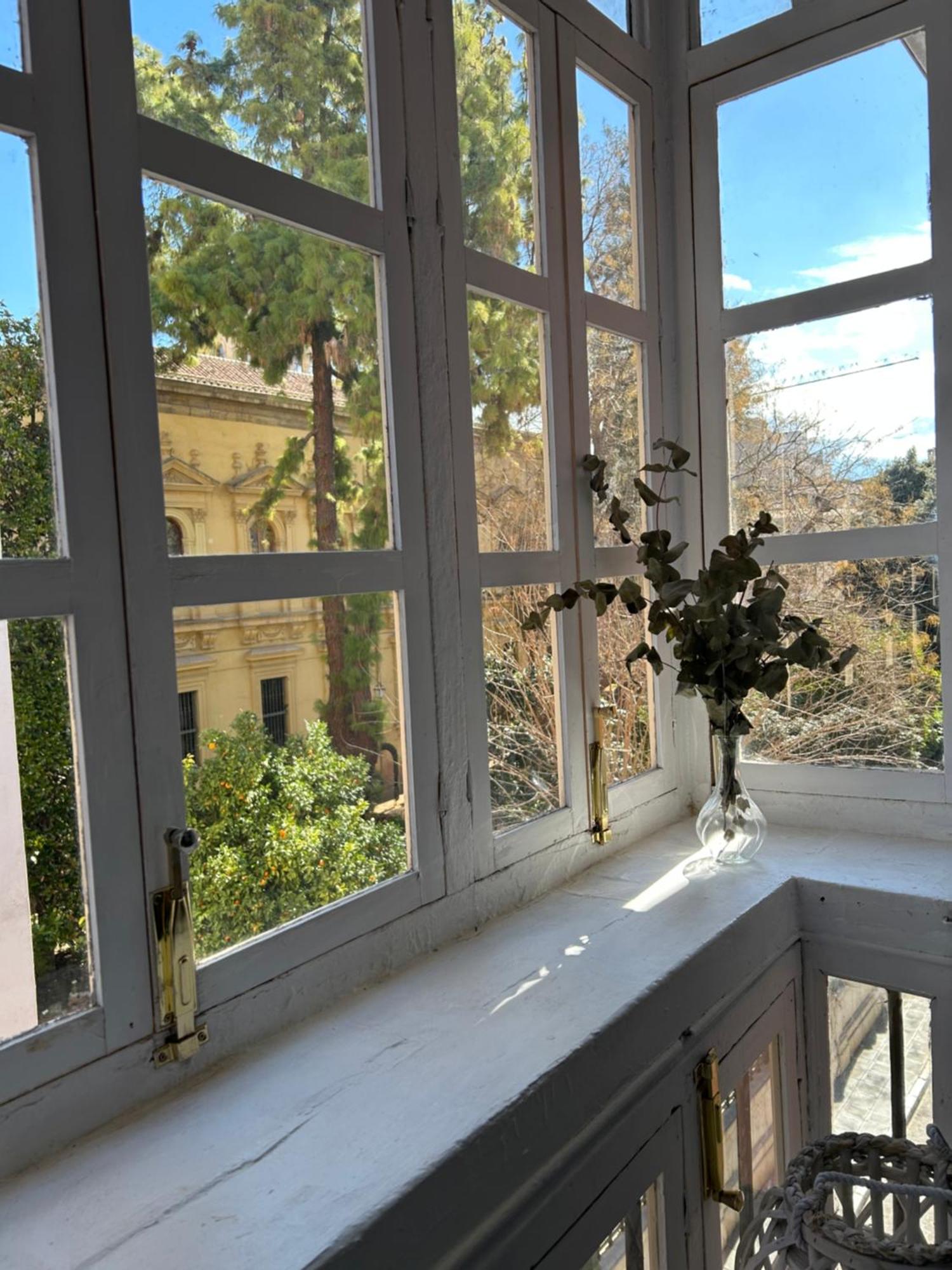 Apartament Jardin Botanico
